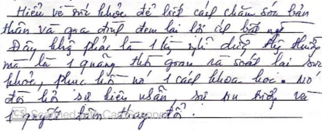 Original handwritten review from Chị Ng.V. Anh